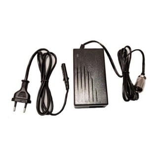 Recambio del cargador completo 48V Li-Ion DCSP546200 para patinete eléctrico Sparrow.